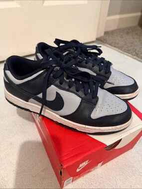 Dunk low retro